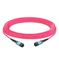 MPO to MPO MMF OM4 50/125 Trunk Cable