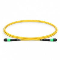 MPO to MPO Single-mode 9/125 Trunk Cable